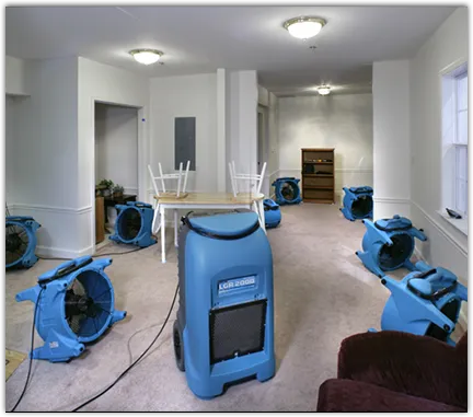 Water Mitigation Services in Wilmington, OH